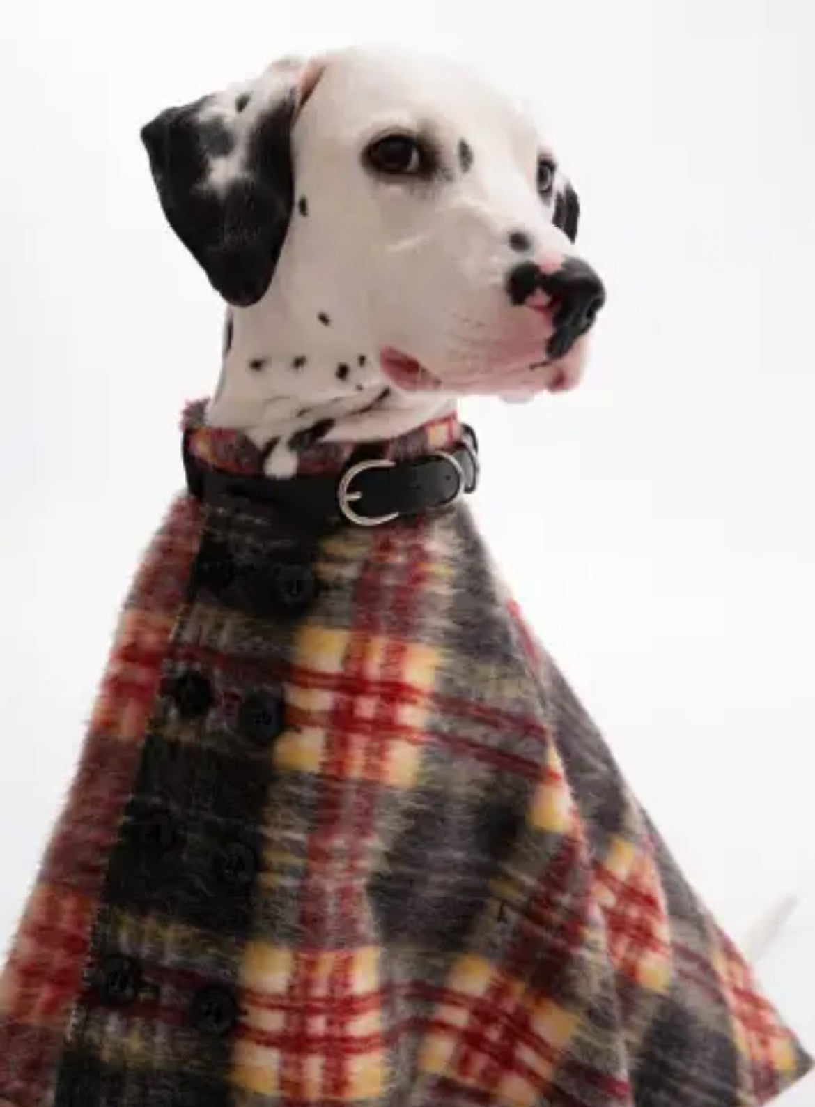 PawsCube high-end pet cape | 30% wool to keep warm without irritating the skin, British plaid pattern for all seasons, perfect for cats and dogs New Year party